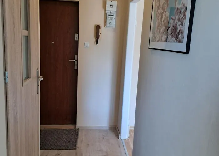 Apartament Miszmasz *